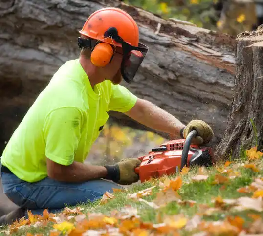 tree services Brushton